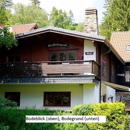 Ferienwohnungen Forellengrund シールケ エクステリア 写真